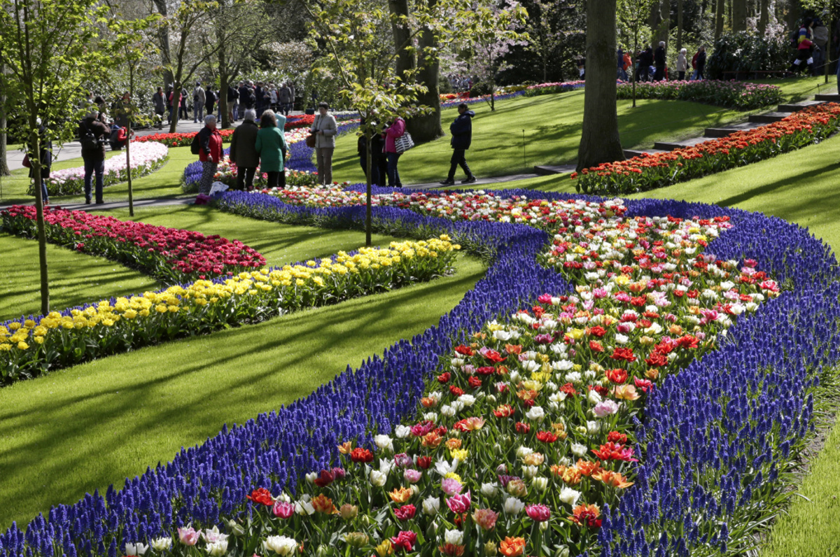 https://www.holandsko.cz/keukenhof.html
